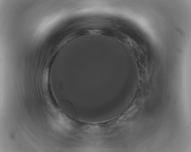 X0000111020194200907022206