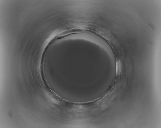 X0000111020195200907022206