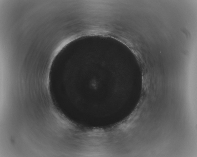 X0000111020196200907022206