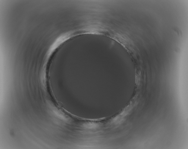 X0000111020198200907022206