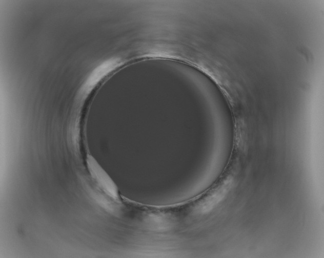 X0000111020199200907022206
