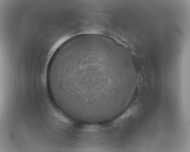 X0000111020200200907022206