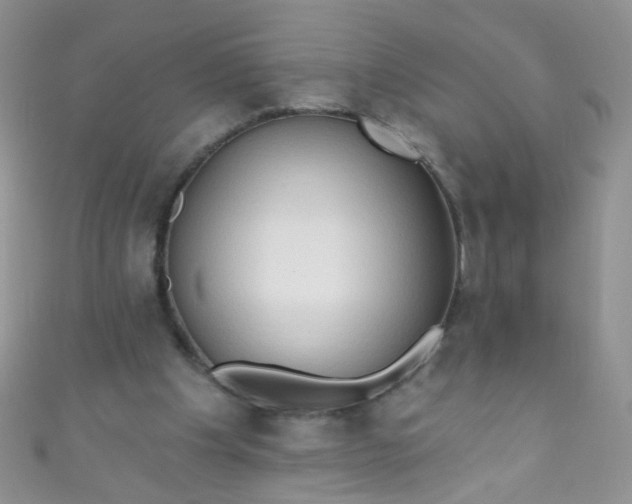X0000111020201200907022206