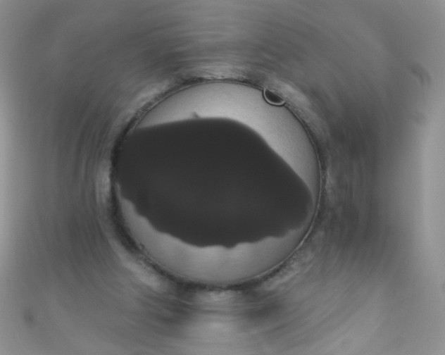 X0000111020202200907022206