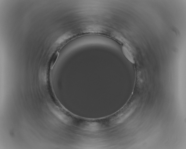 X0000111020203200907022206