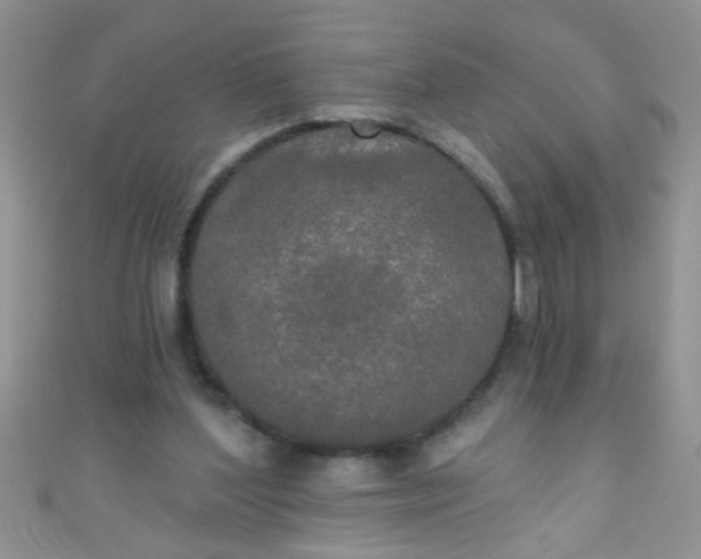 X0000111020204200907022205