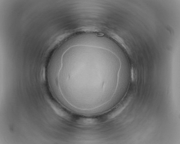 X0000111020205200907022205
