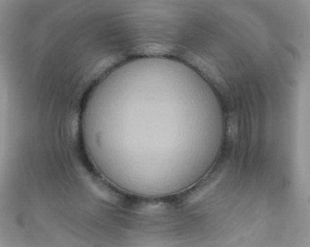 X0000111020206200907022205