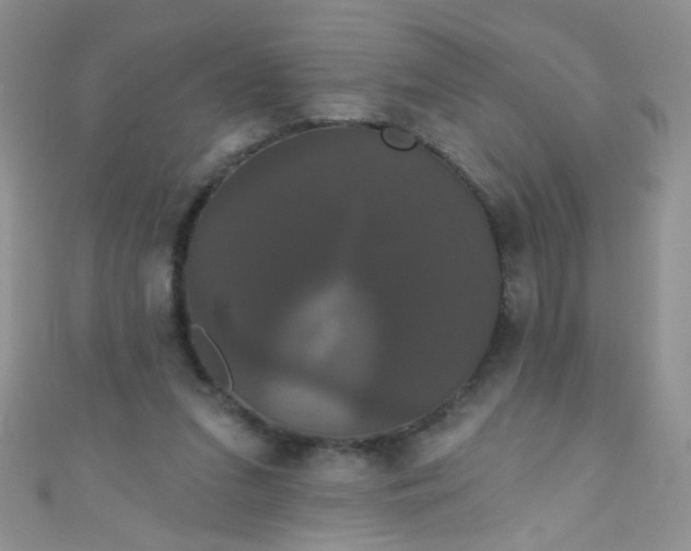 X0000111020207200907022205