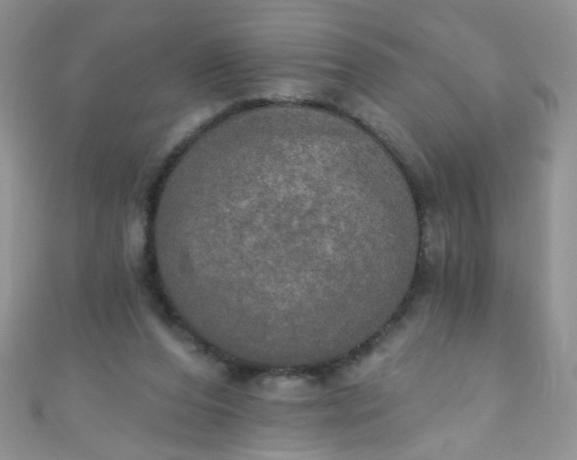 X0000111020208200907022205
