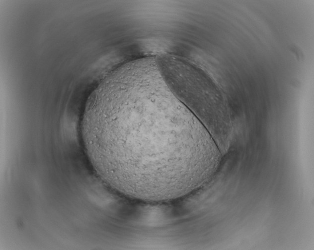 X0000111020209200907022205