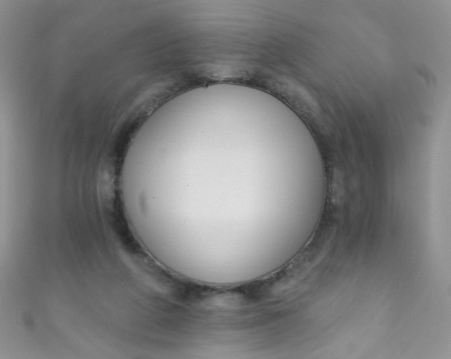 X0000111020210200907022205