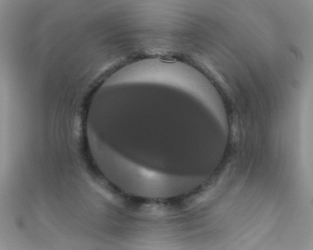 X0000111020211200907022205