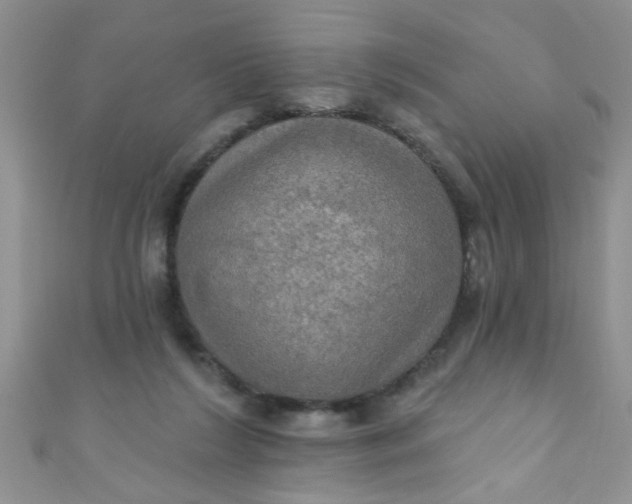 X0000111020212200907022205