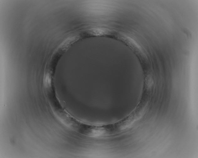X0000111020214200907022205