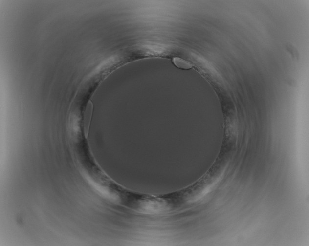 X0000111020215200907022205