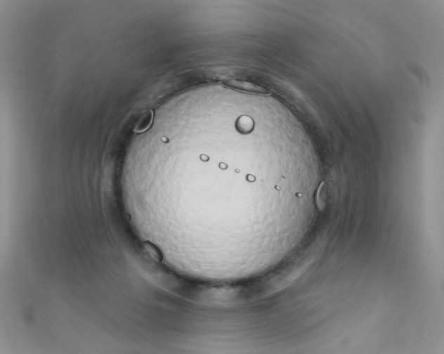X0000111020217200907022205