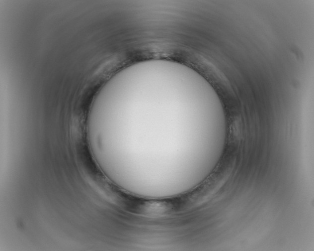 X0000111020218200907022205