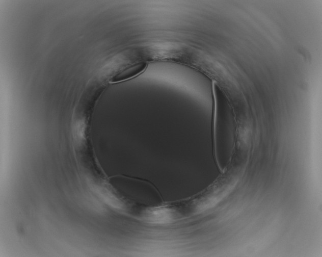 X0000111020219200907022205