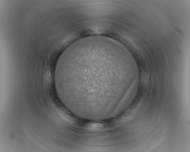 X0000111020220200907022205