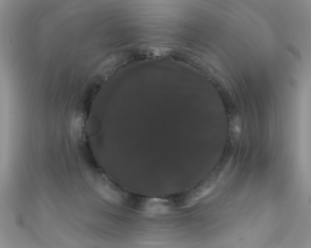 X0000111020222200907022205