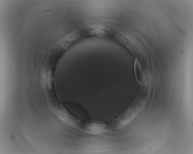 X0000111020223200907022205