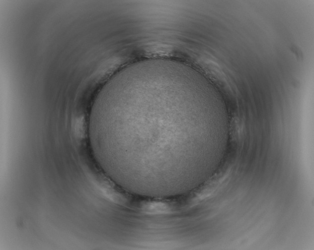 X0000111020224200907022205