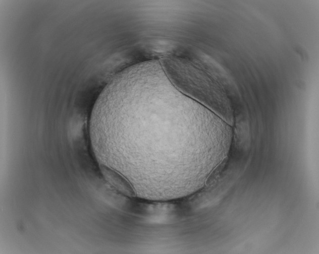 X0000111020225200907022205