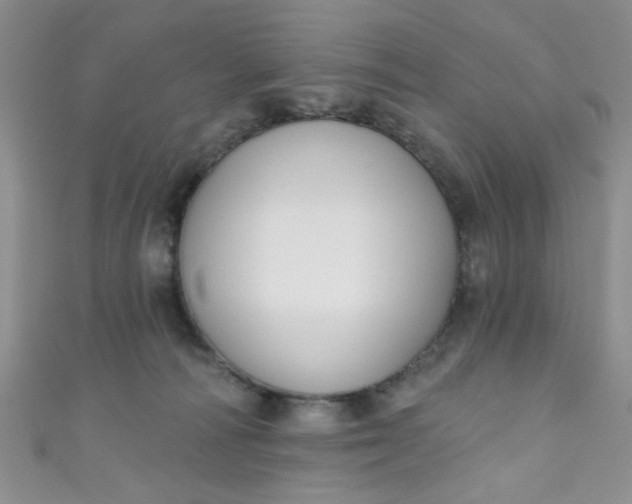 X0000111020226200907022205