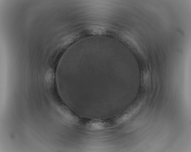 X0000111020228200907022205