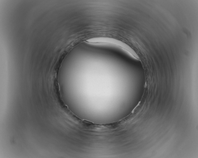 X0000111020229200907022205