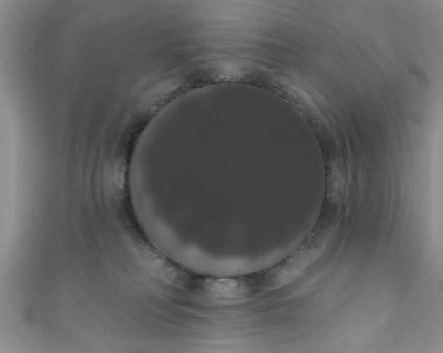X0000111020230200907022205