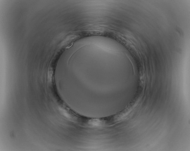 X0000111020231200907022205