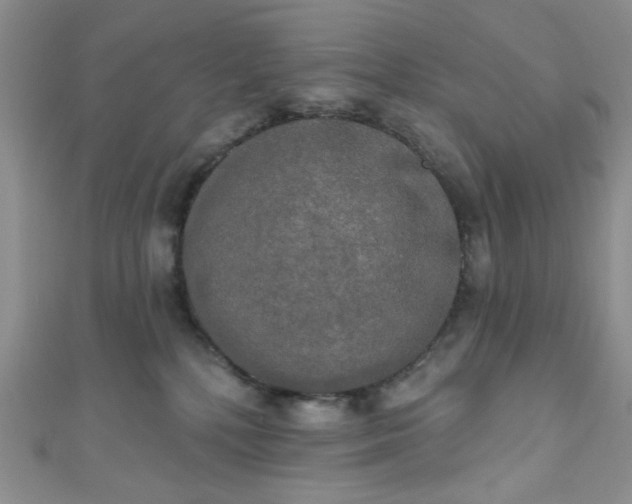 X0000111020232200907022205
