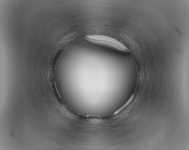 X0000111020233200907022205