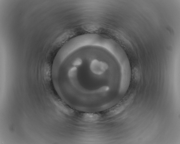 X0000111020234200907022205