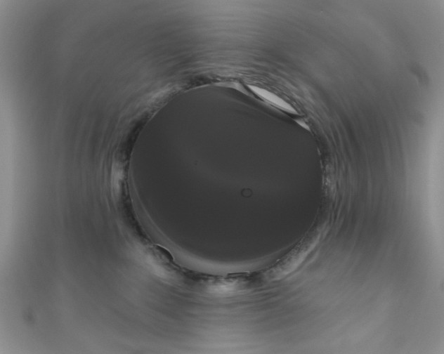 X0000111020235200907022205