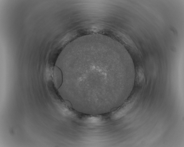 X0000111020236200907022205