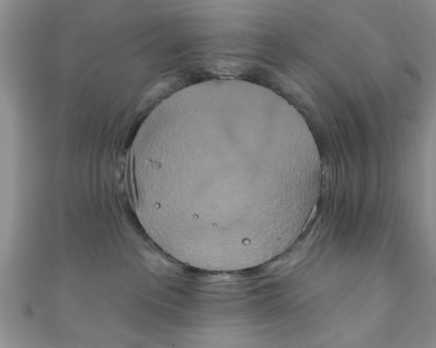 X0000111020237200907022205