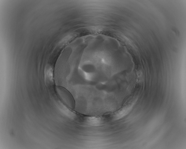 X0000111020238200907022205