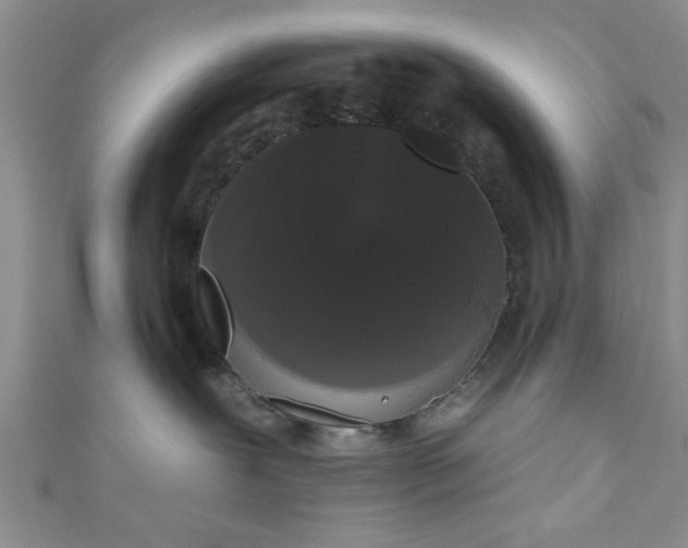 X0000111020239200907022205