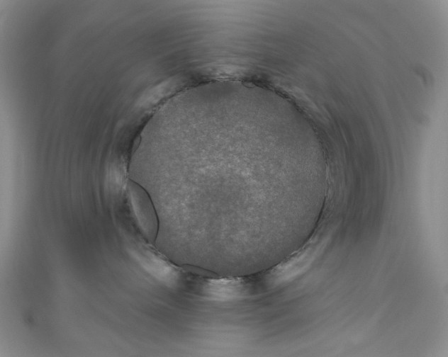 X0000111020240200907022205