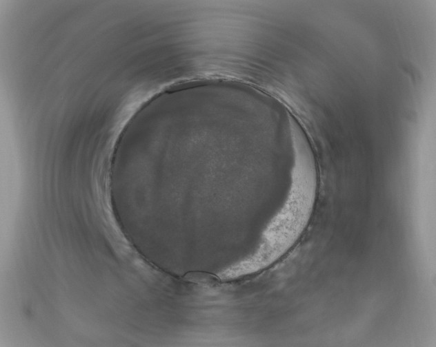 X0000111020241200907022204