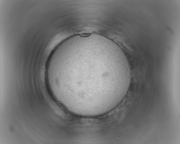 X0000111020242200907022204