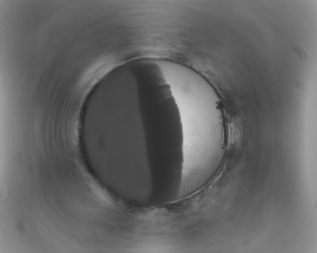 X0000111020243200907022204