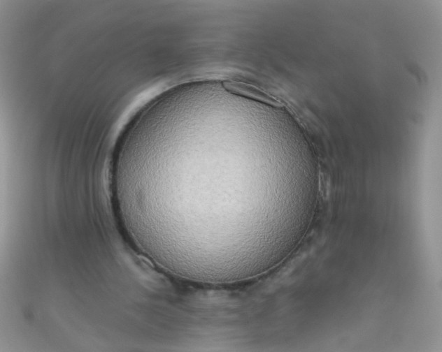 X0000111020244200907022204