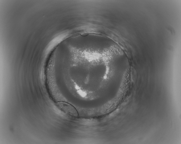 X0000111020245200907022204