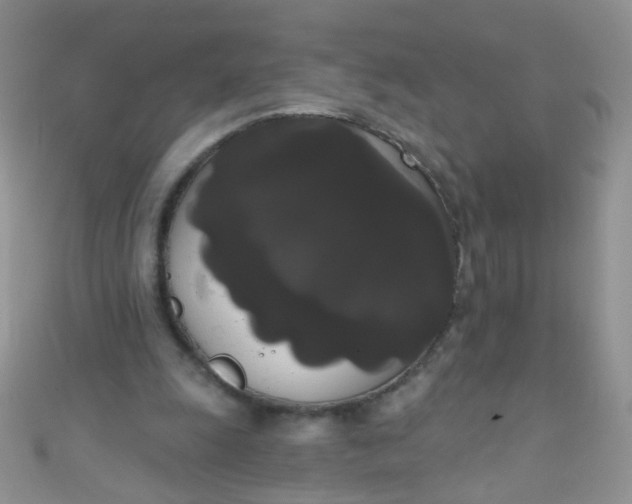 X0000111020247200907022204