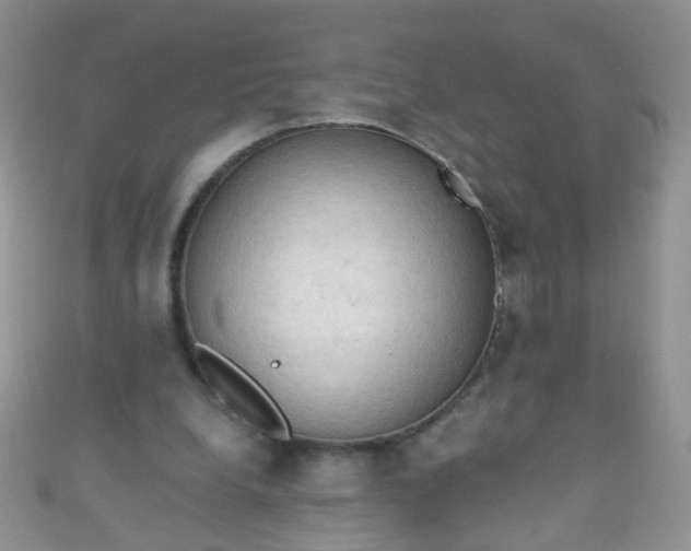 X0000111020248200907022204