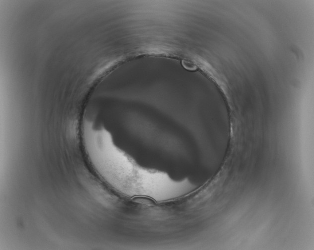 X0000111020249200907022204